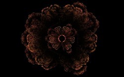 2014 04 26 Afternoon From Blanks 23-black.jpg